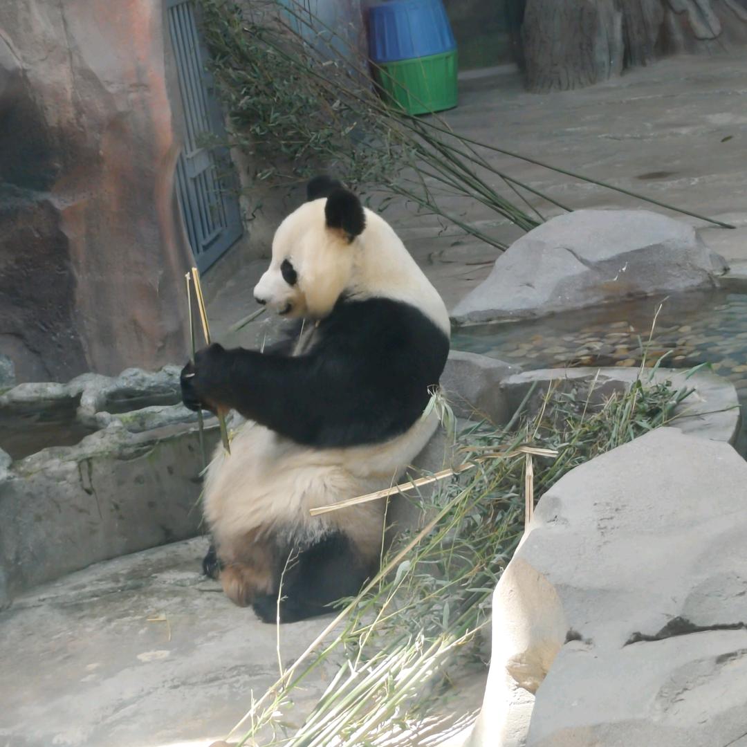 王富贵、，，