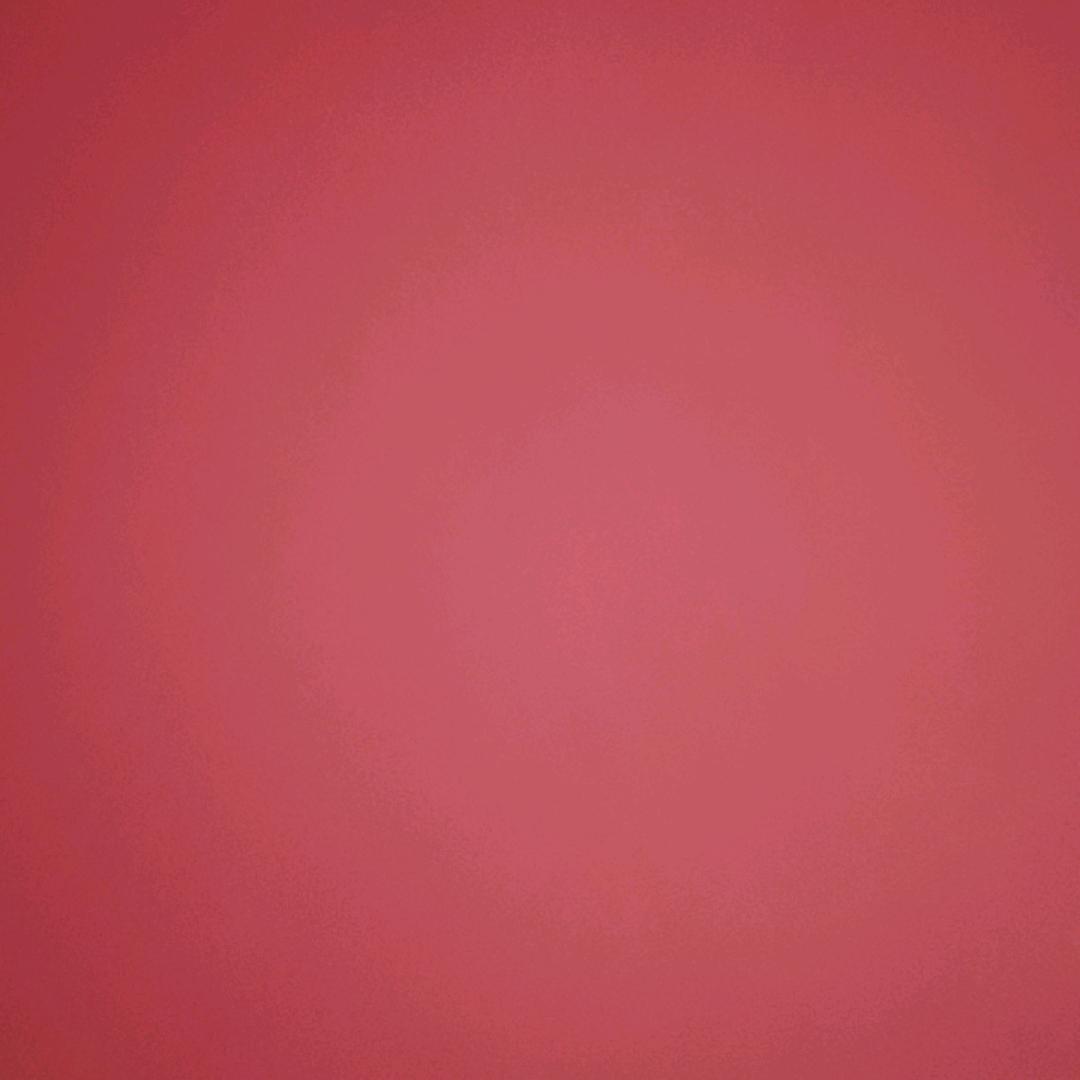 ✨禁止拍赵ﾟωﾟ｀