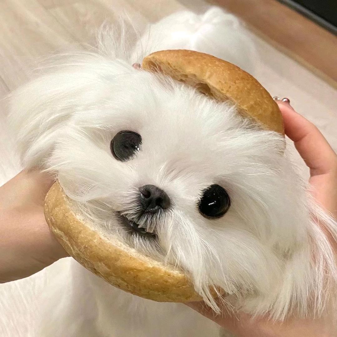 树莓:-)