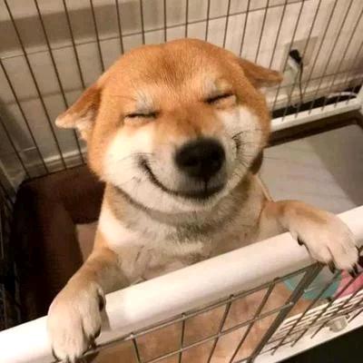 啊库大王