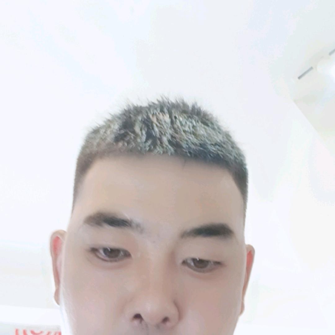 真成聊天