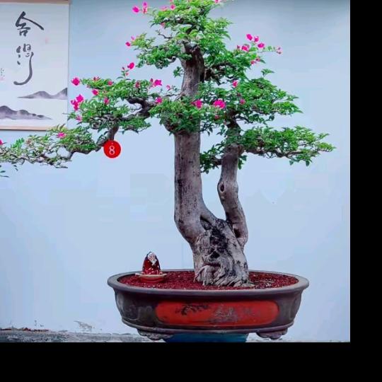奋斗跑丢一只鞋