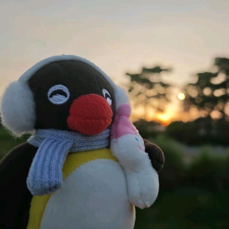 再不重走遗憾路。