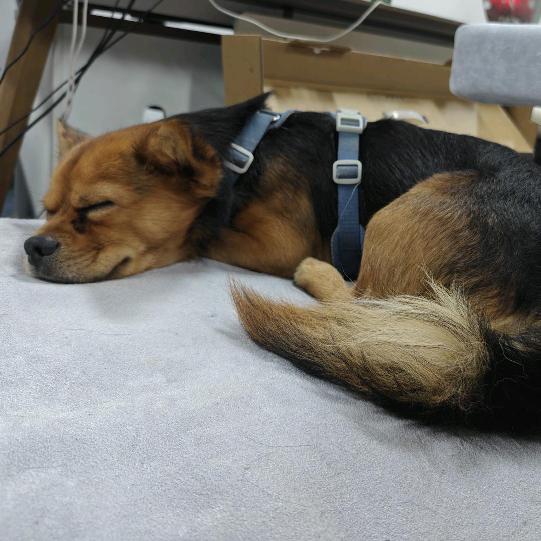 王海吉