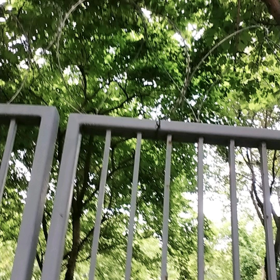 沈明清