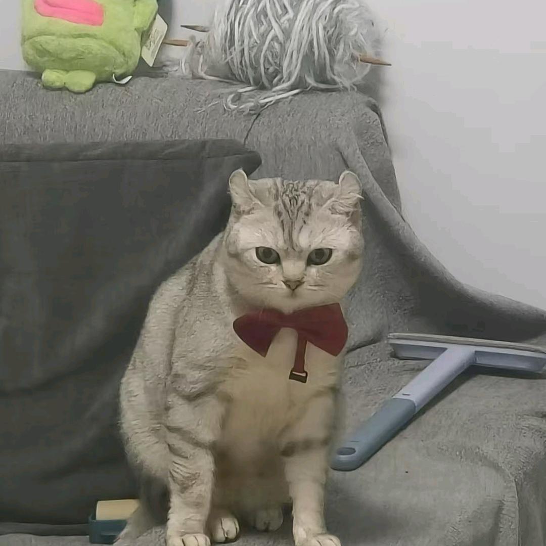 搞笑龍少