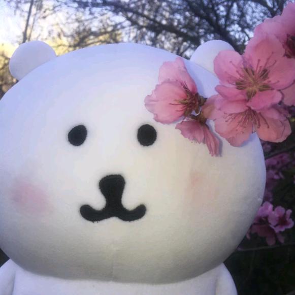 退休老人在上网