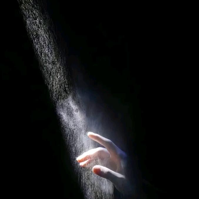 L.