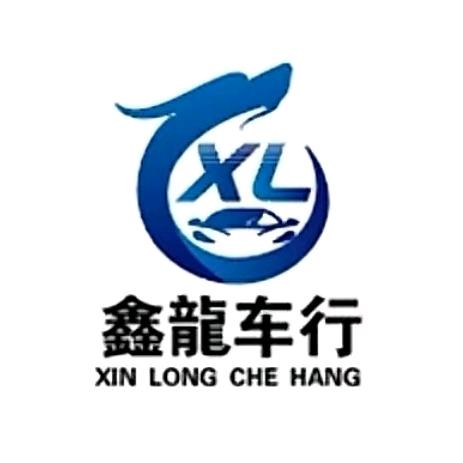 娄底鑫龙车行