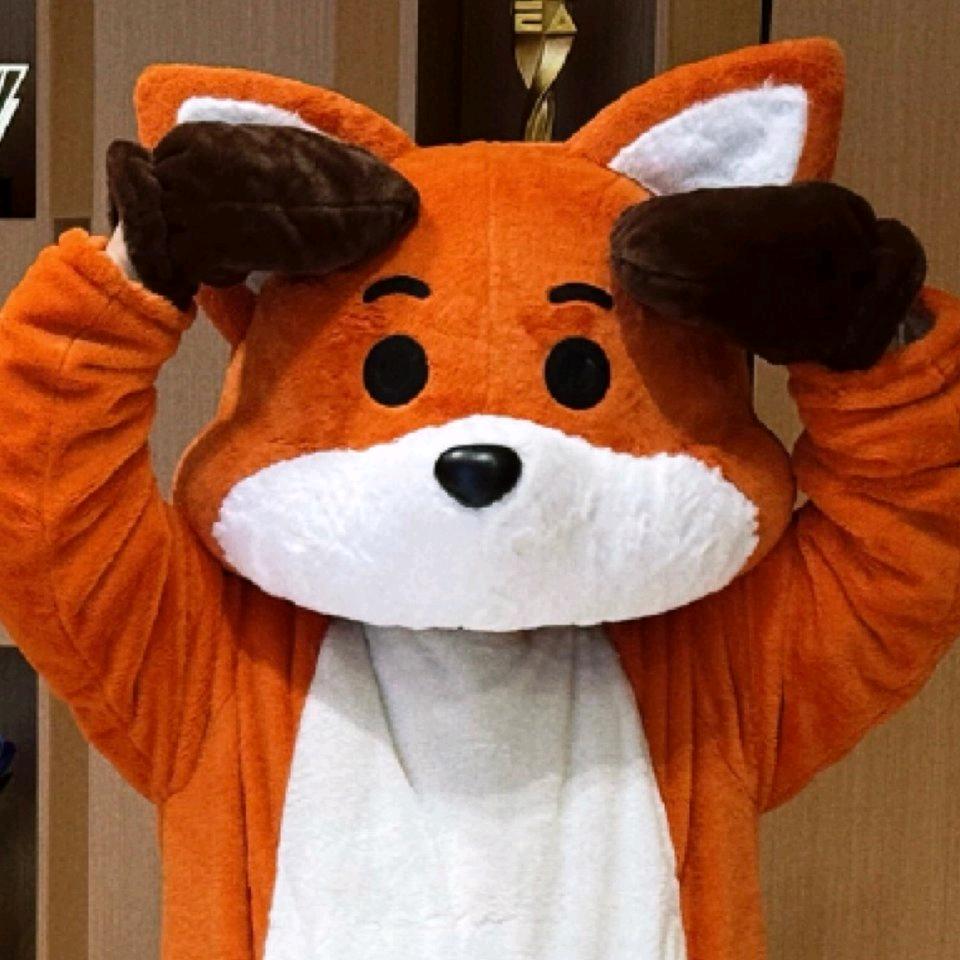 箱子猫