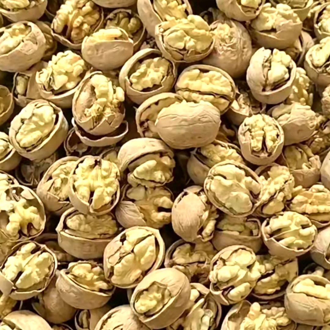 大西北果业