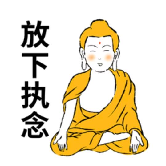 会飞的蛤蟆