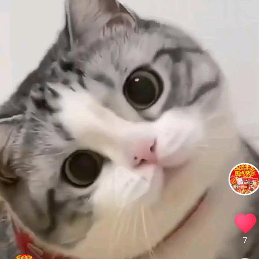 渡荒年