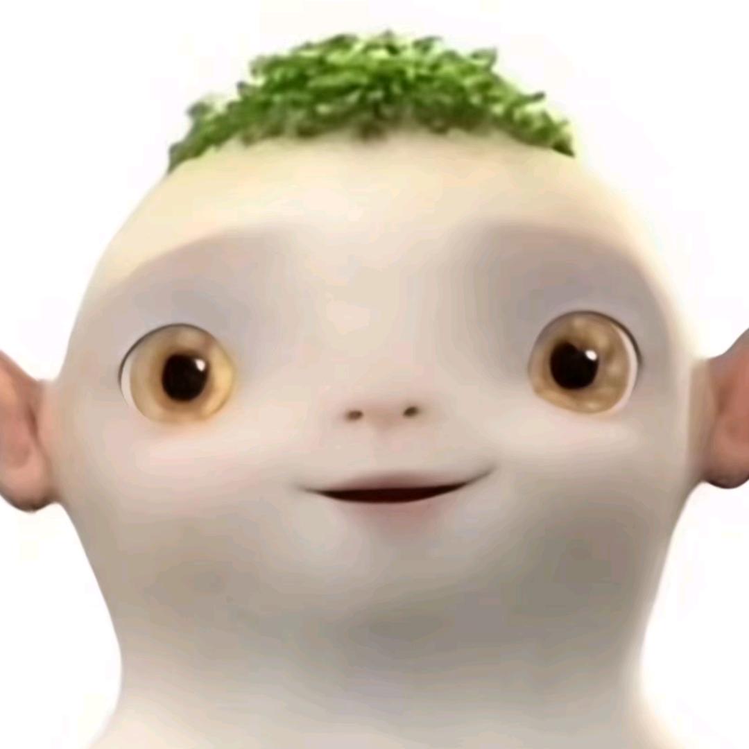 忧郁de灵珠1508
