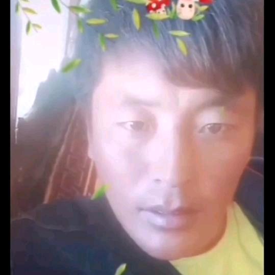 西藏东哥