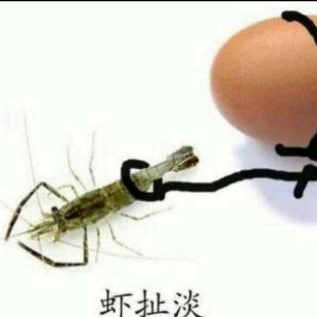 1111勿扰