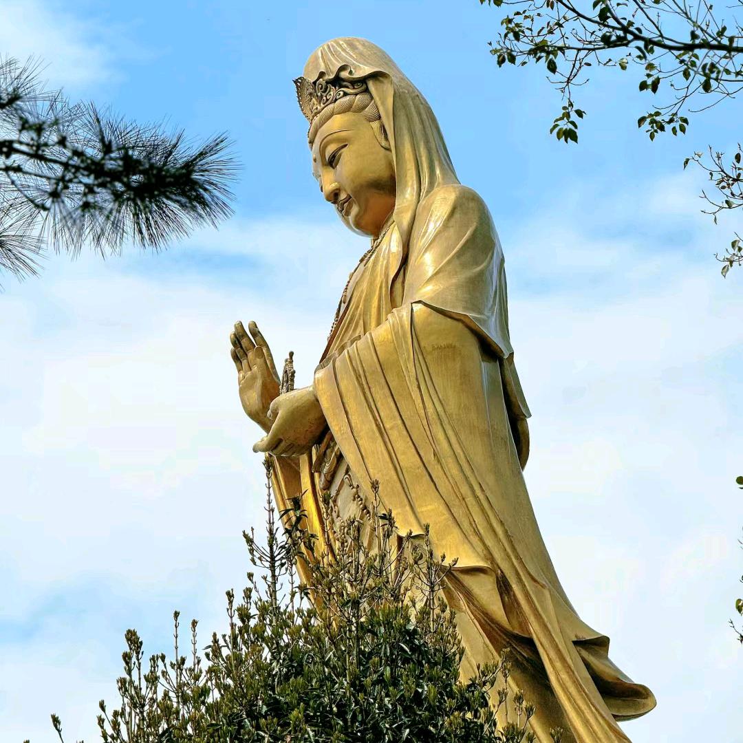假日阳光旅游