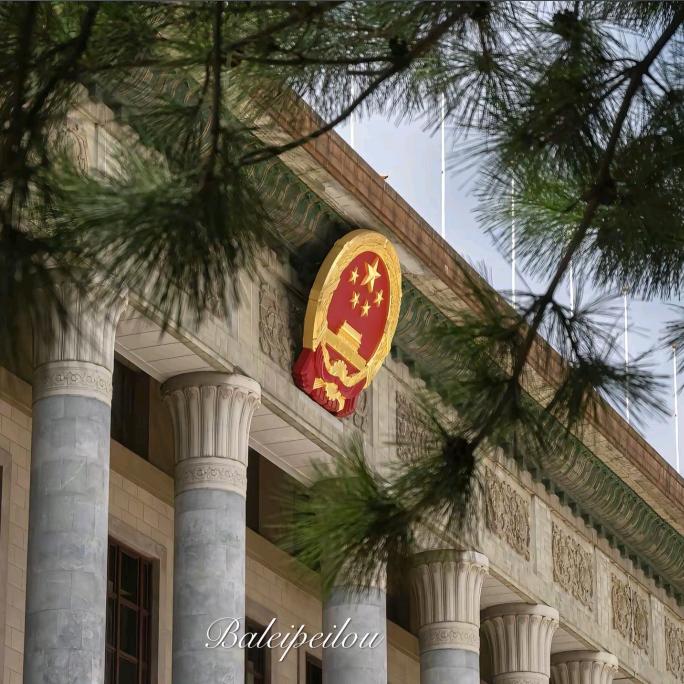 滨州大疆pocket3租赁