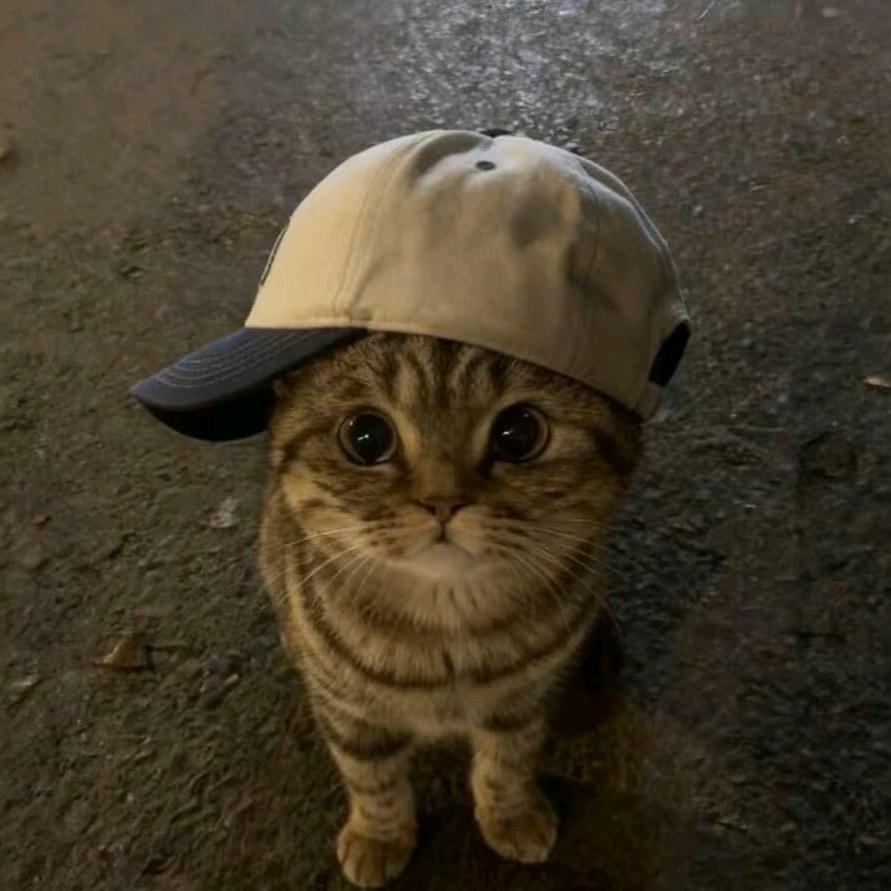 不知道取什么名字的大头