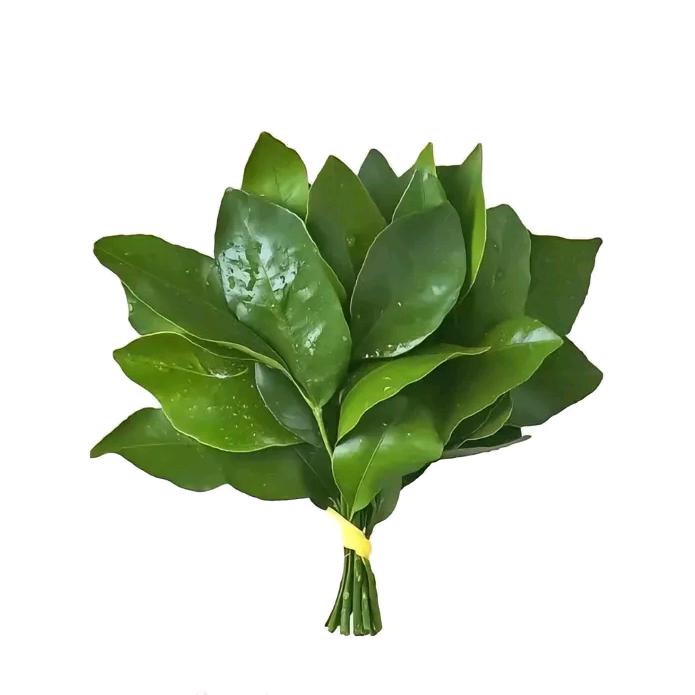 好听一点的名儿