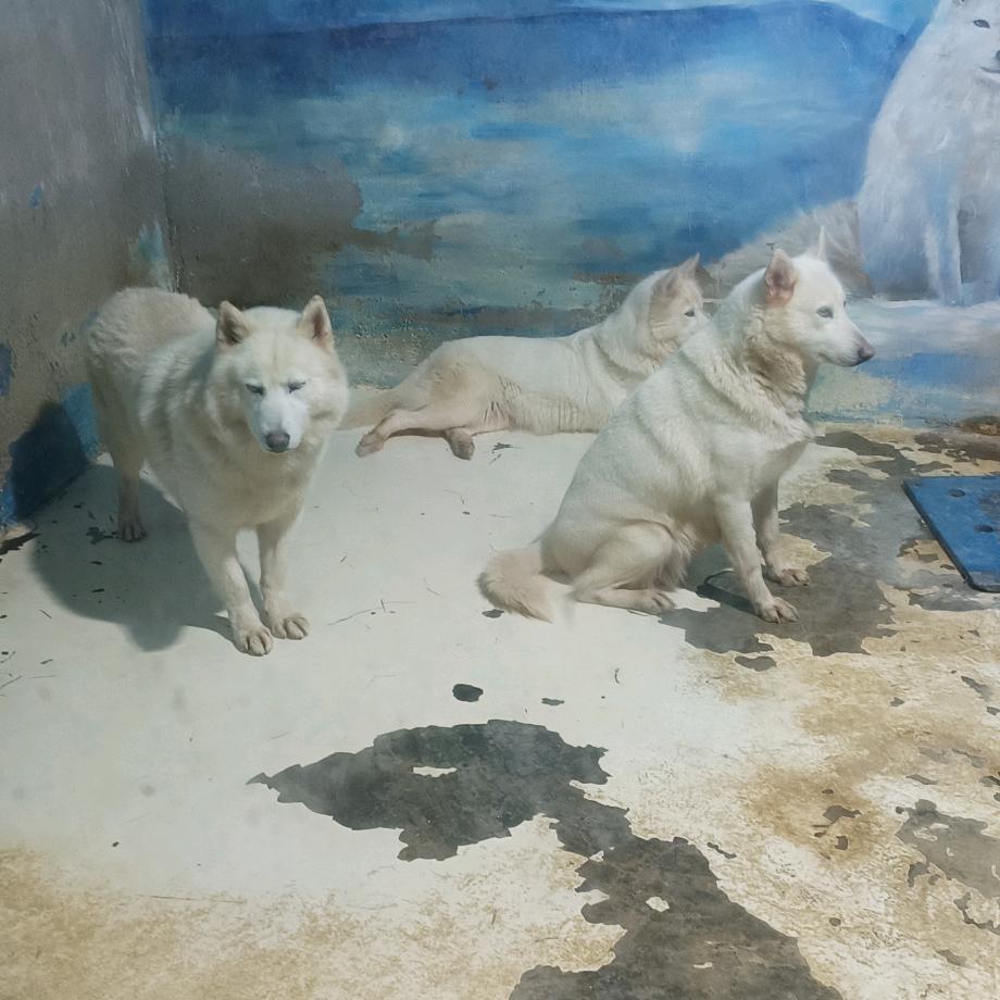 修仙传