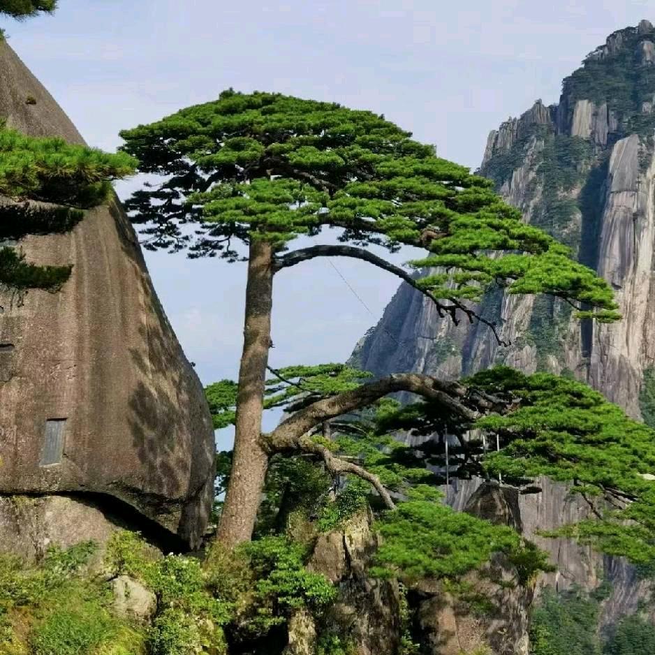 ✨❄✨遥遥相望…