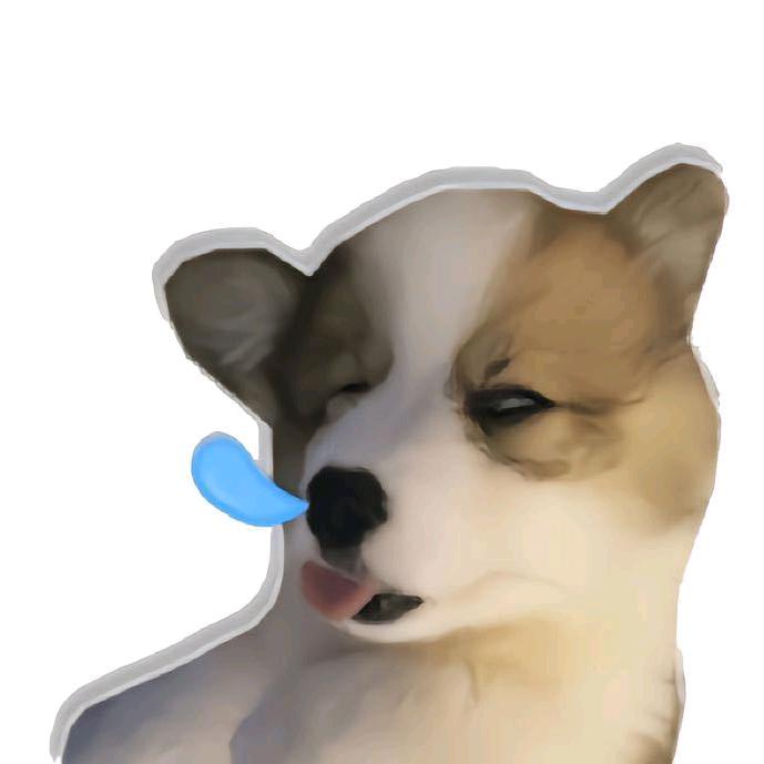 揽月