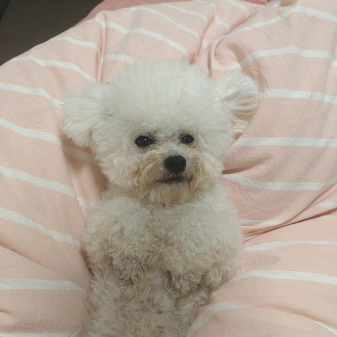 自找的快乐🎣🐡🐠🐟🦞