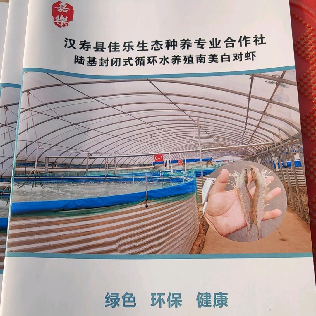 汉寿佳乐工厂化循环水养殖南美白对虾