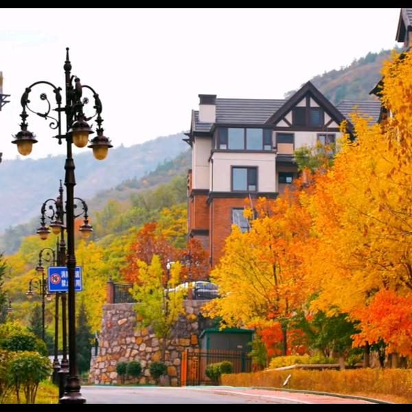 装个理想家🏠…(挑战40天自装意式)