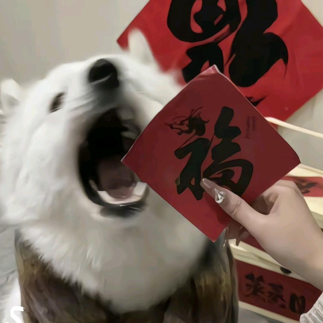 二十·