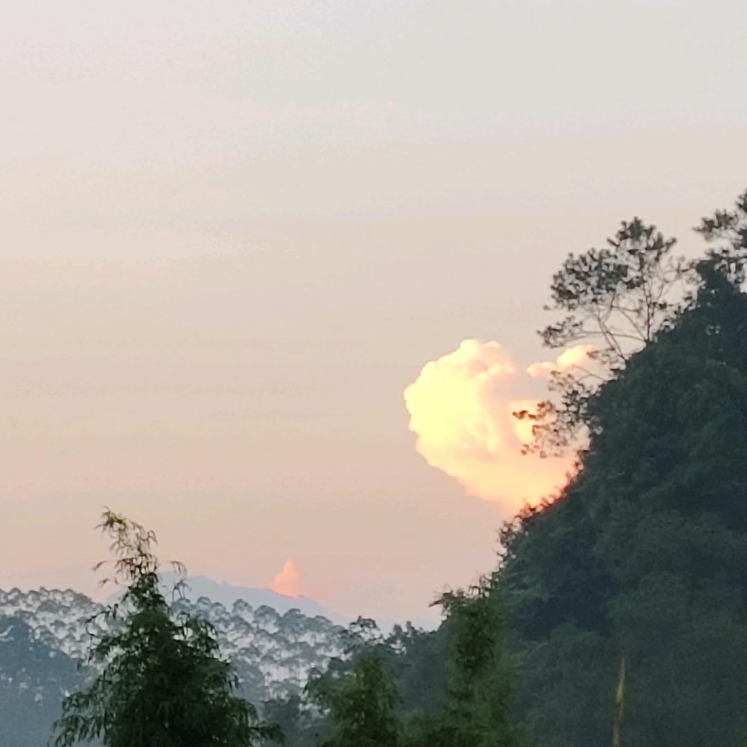 凤华