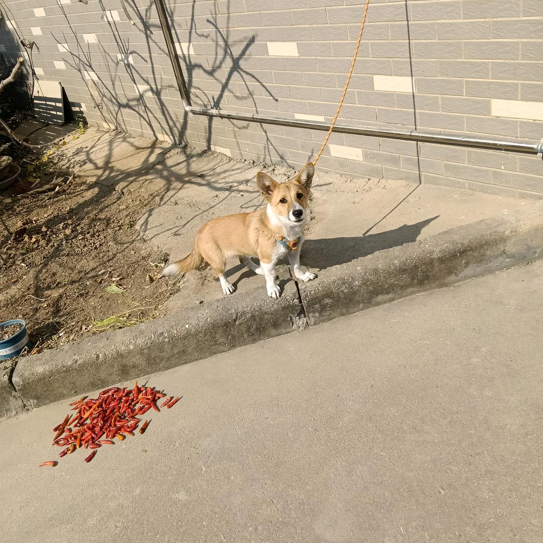 美好一家人