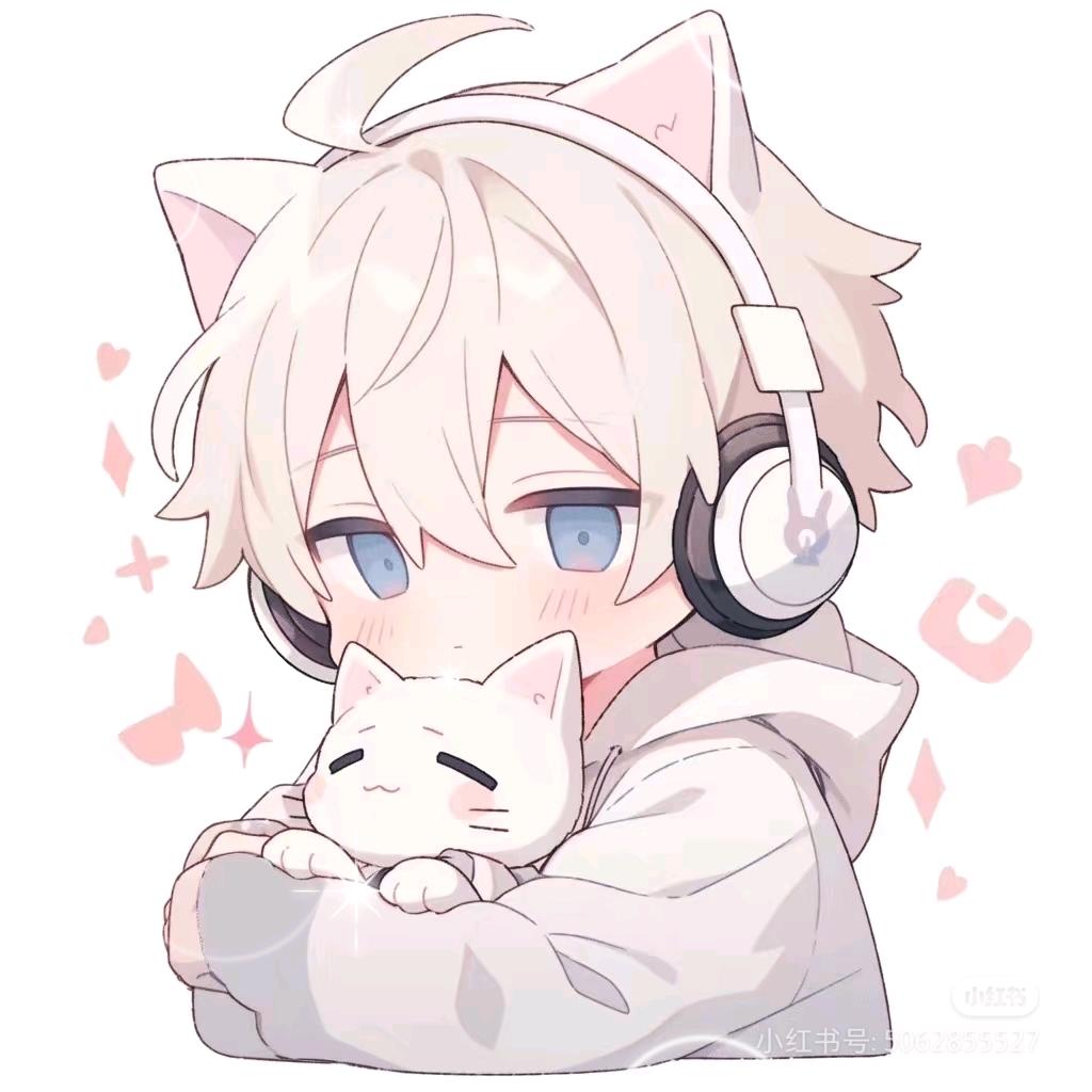 丸球了✨