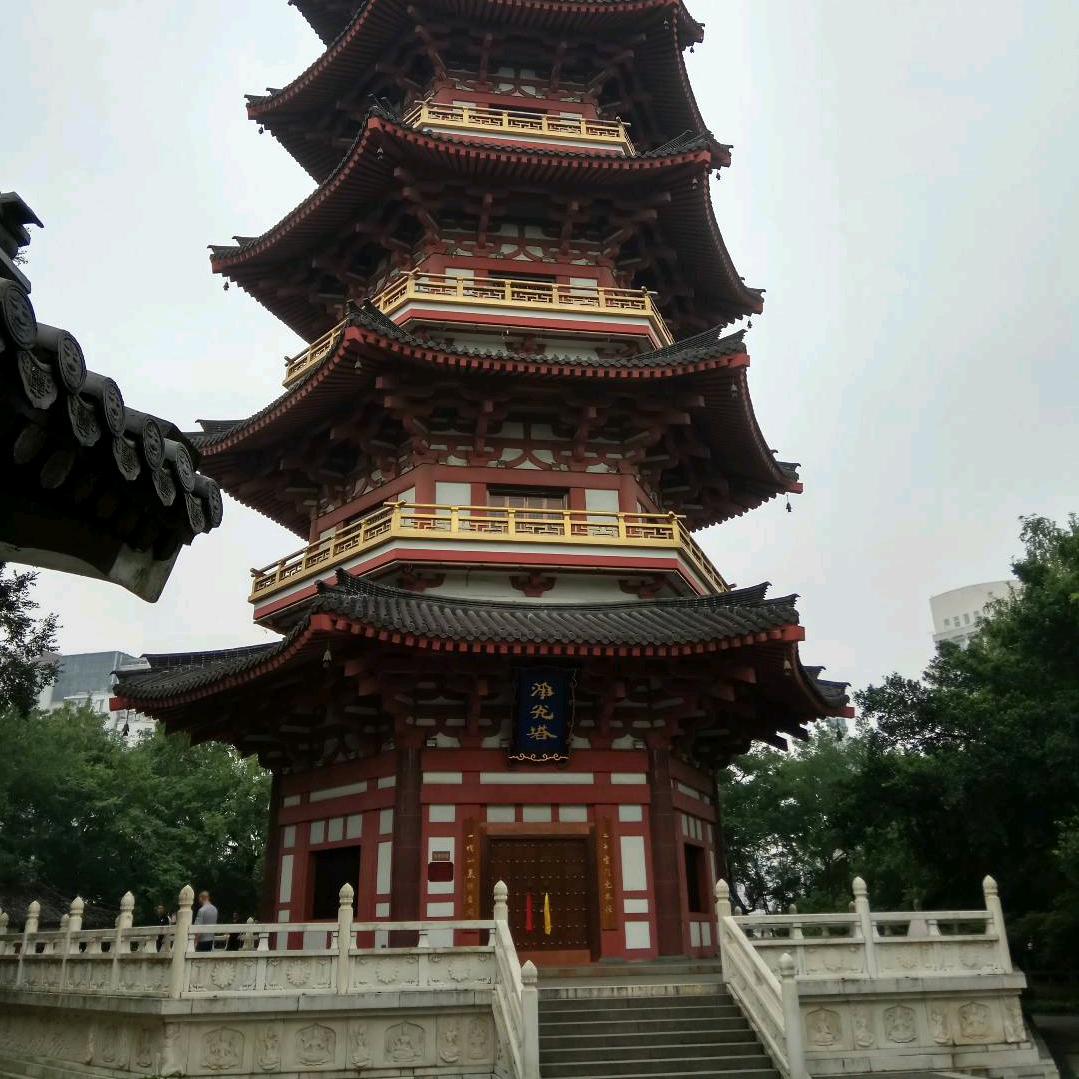 Youwa子栓到树上给它点fei喝