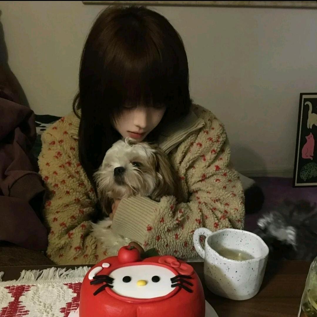 兔子💤️