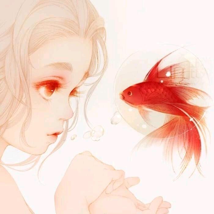 鱼头🐾