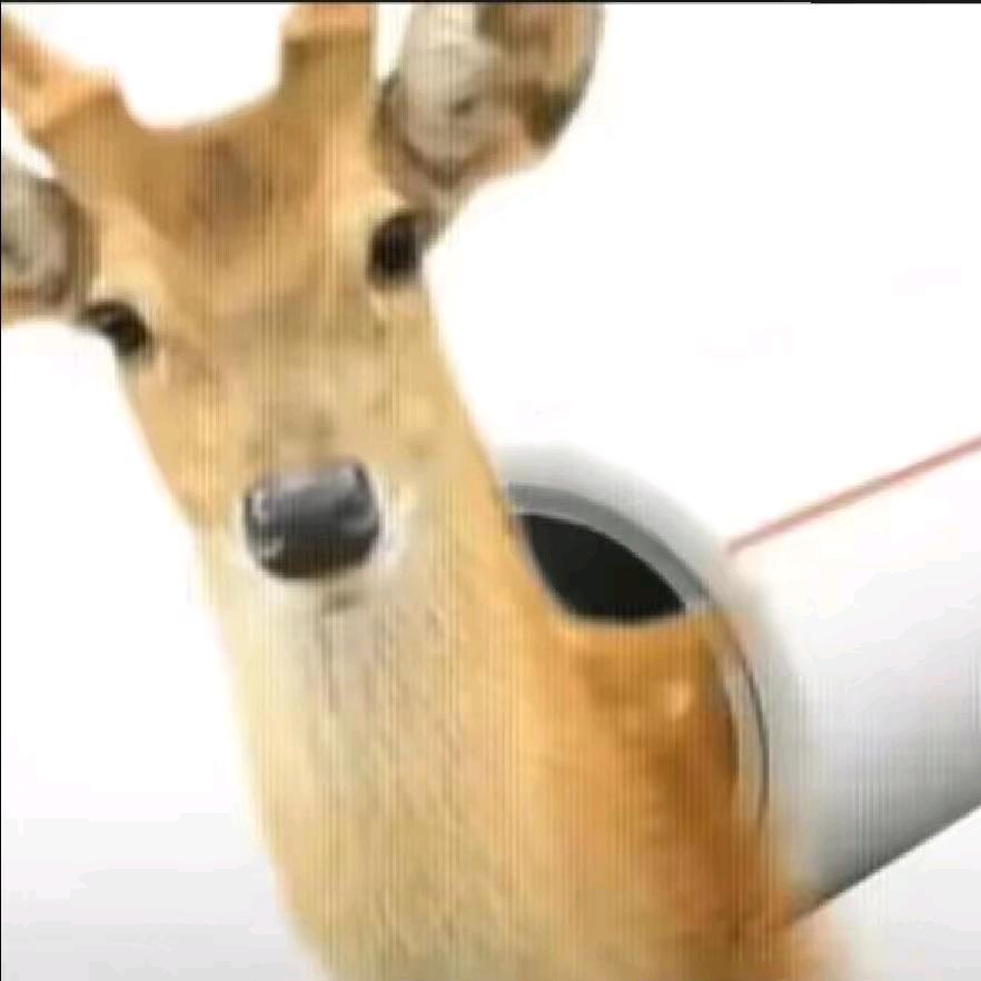 芸