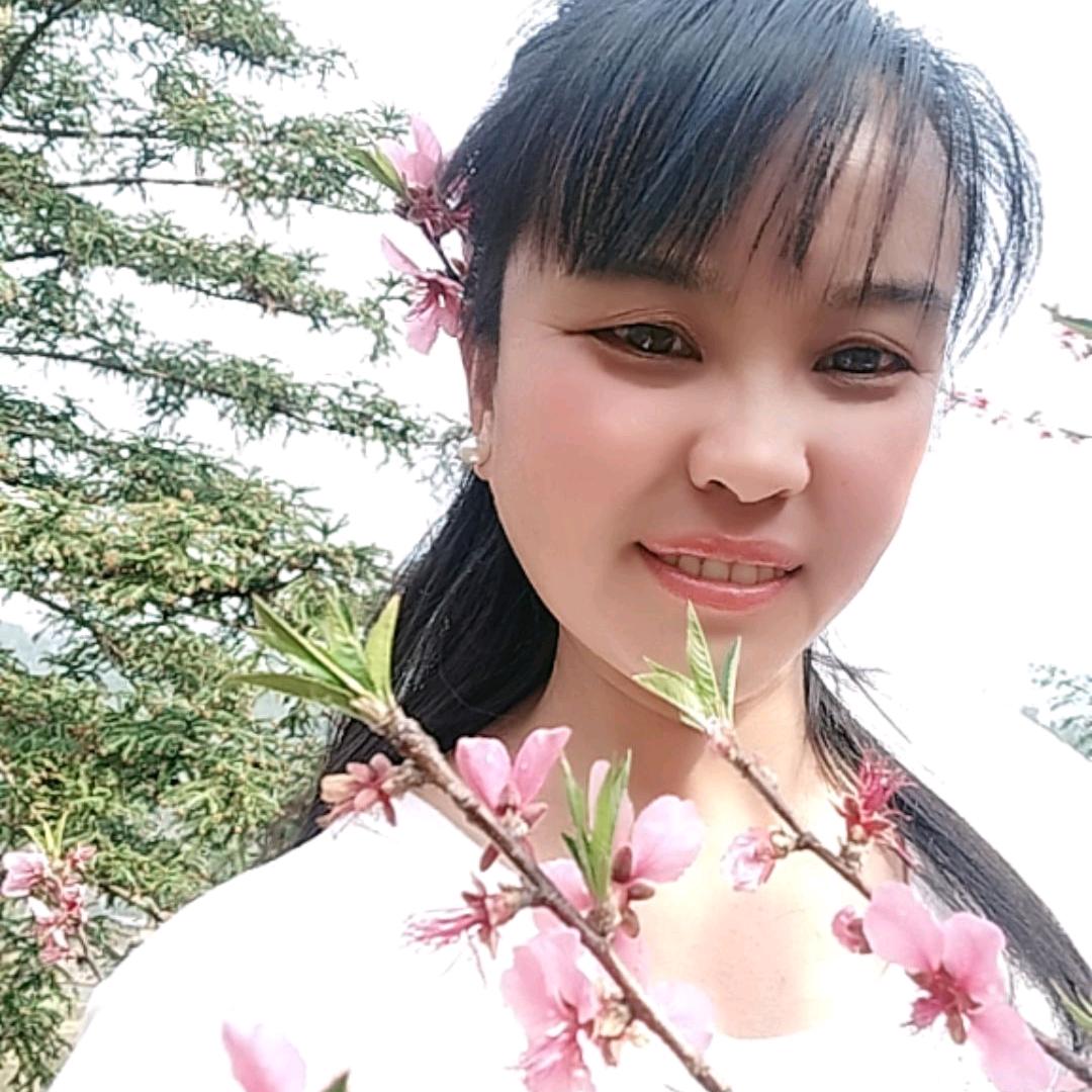 凤