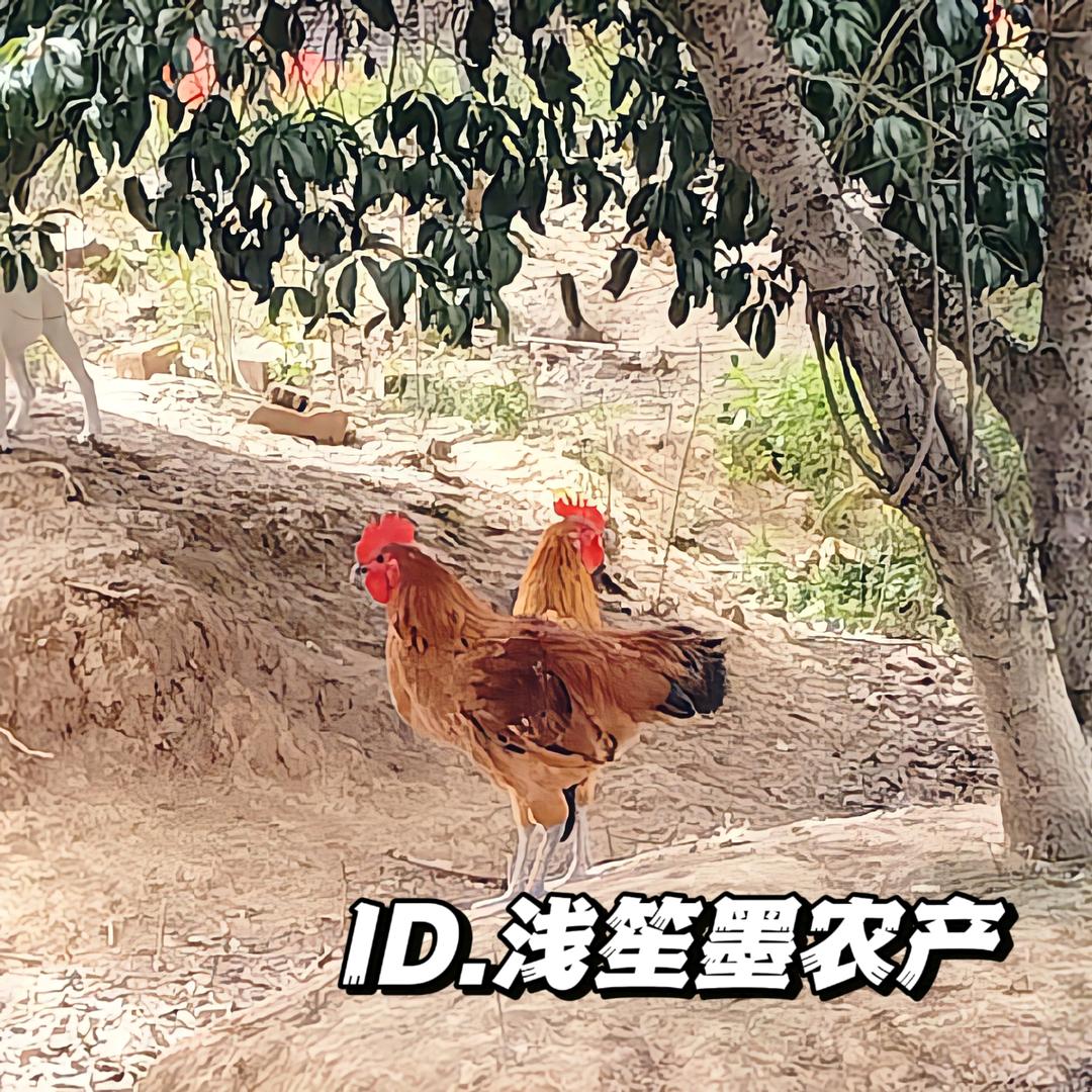ID.浅笙墨农庄👦