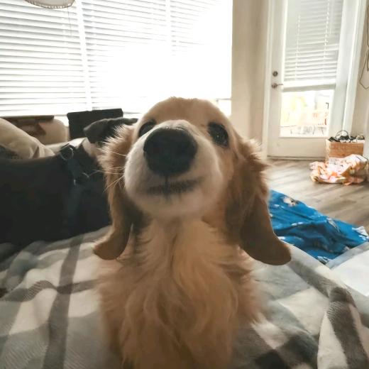 L；