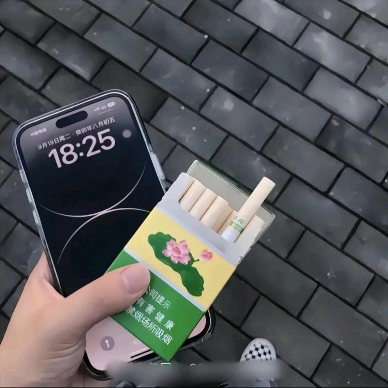 自由的飞