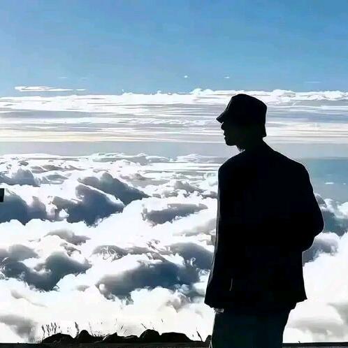 56岁老头喜欢看节目