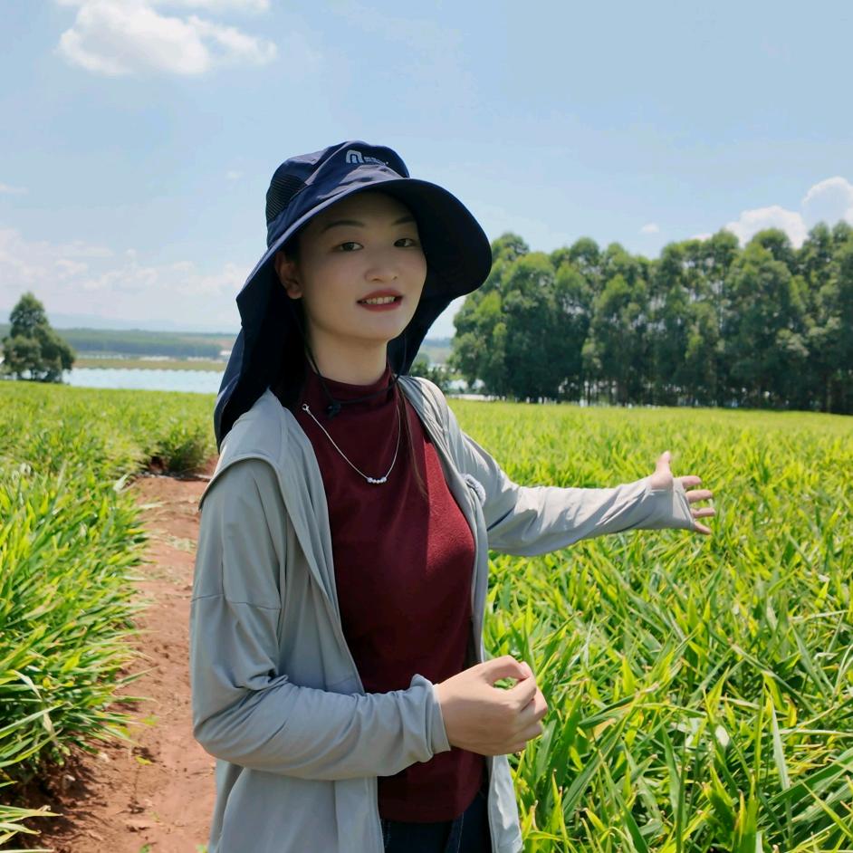 小陈帮你种好姜