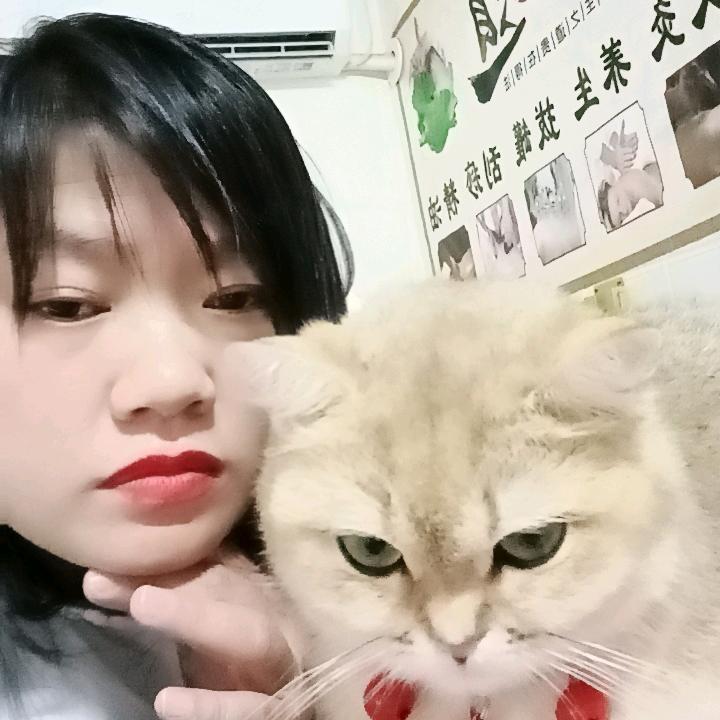 梦想姑娘