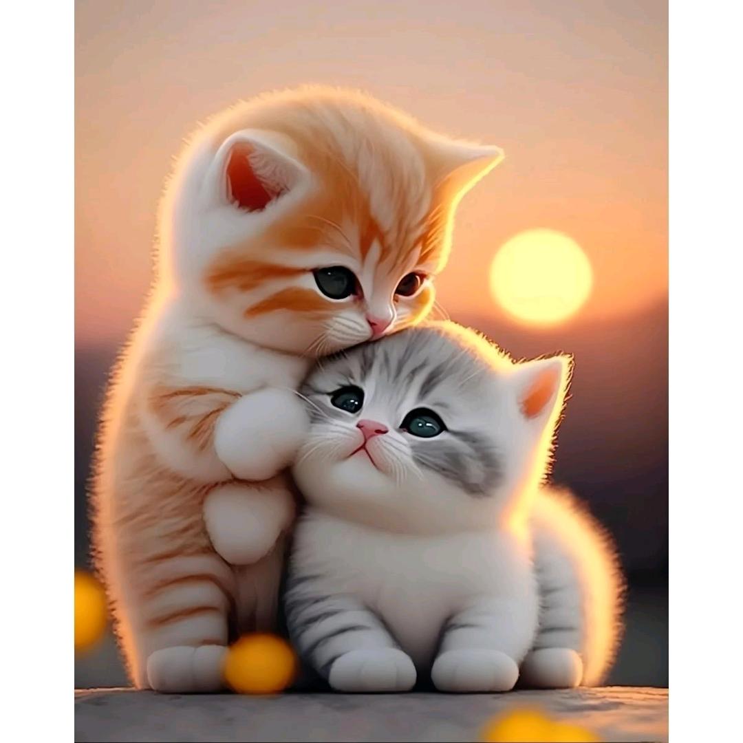 余生💗᭄洳ᝰᩚ翊ꦿ