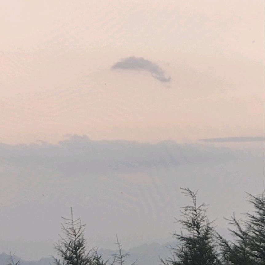 跨了四年避开所有问题