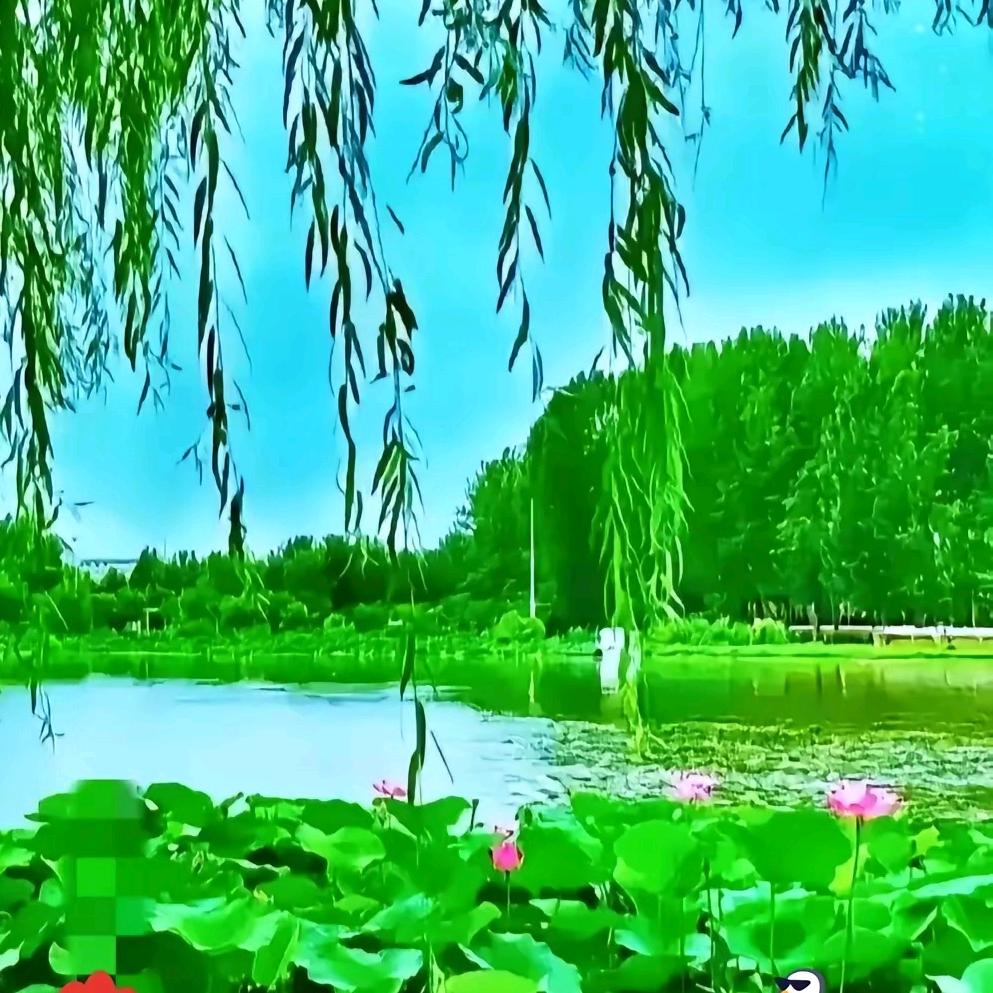 炮打不平60610078999
