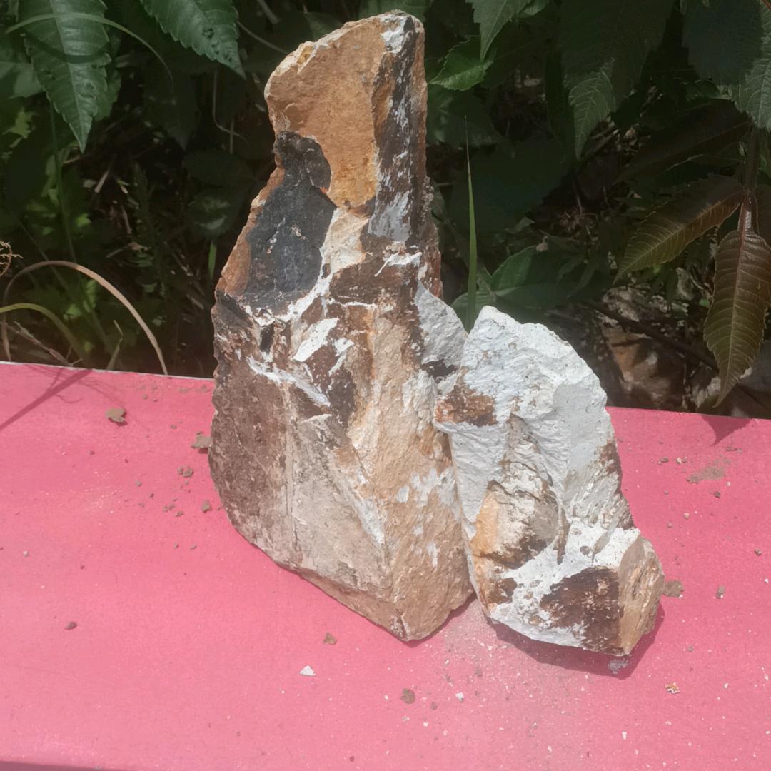 这世界，富人的天堂，穷人的地狱