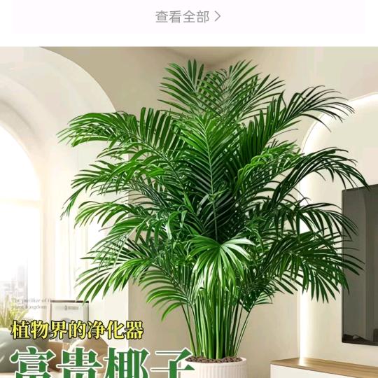 雷姐的橱窗